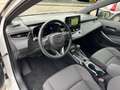 Toyota Corolla Touring Sports 1.8 Hybrid Active|Bi-Tone|Stuurverw Alb - thumbnail 13