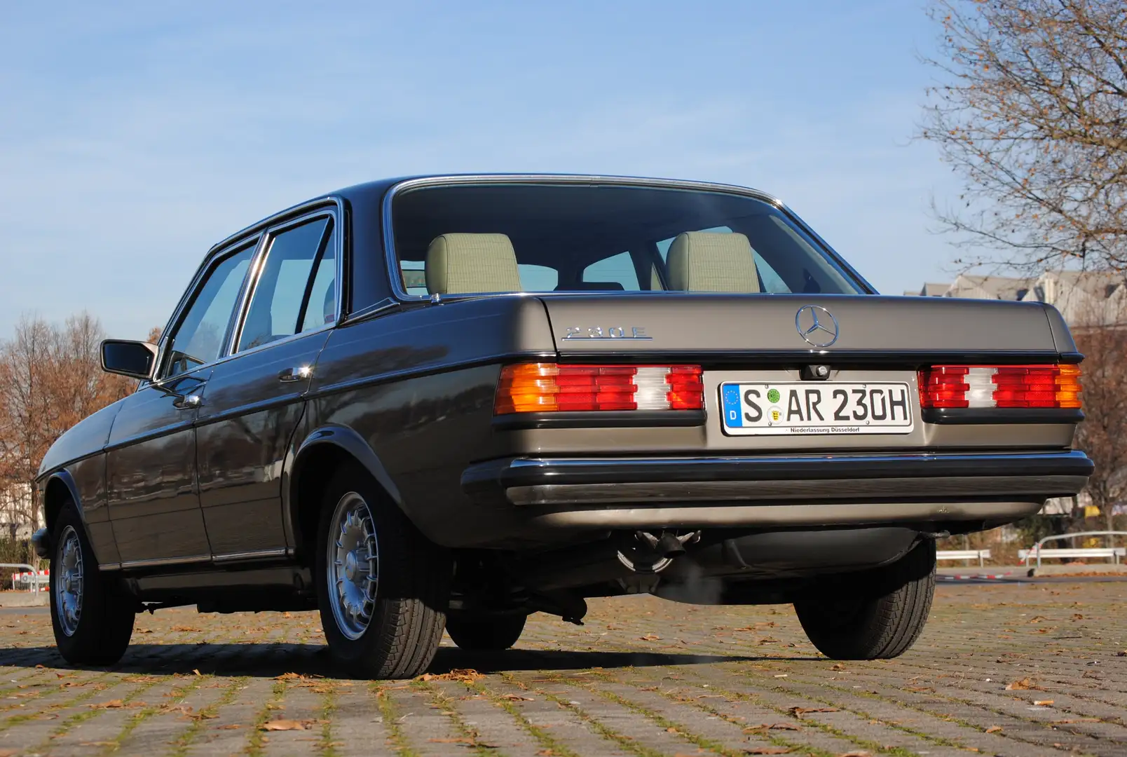 Mercedes-Benz Baureihe 123 Baureihe 123 230 E Grau - 2