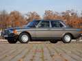 Mercedes-Benz Baureihe 123 Baureihe 123 230 E Grau - thumbnail 5