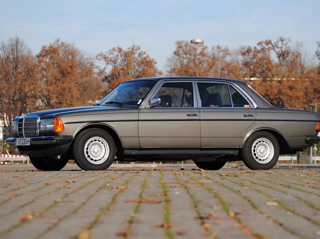 Mercedes-Benz Baureihe 123 230 E, foto 5