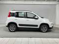 Fiat Panda 1.3 MJT 95 CV S&S 4x4 Blanco - thumbnail 6
