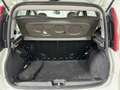 Fiat Panda 1.3 MJT 95 CV S&S 4x4 Blanco - thumbnail 15