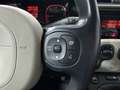 Fiat Panda 1.3 MJT 95 CV S&S 4x4 Blanco - thumbnail 23