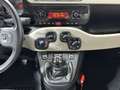 Fiat Panda 1.3 MJT 95 CV S&S 4x4 Blanco - thumbnail 14
