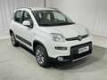Fiat Panda 1.3 MJT 95 CV S&S 4x4 Blanco - thumbnail 7