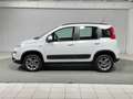 Fiat Panda 1.3 MJT 95 CV S&S 4x4 Blanco - thumbnail 2