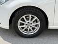 SEAT Ibiza Style 1,6TDI Full-Link SHZG AC/Auto SR+WR Weiß - thumbnail 18
