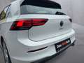 Volkswagen Golf GTI GTI Weiß - thumbnail 39