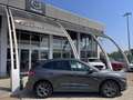 Ford Kuga Kuga 2.5 phev ST-Line 2wd 225cv cvt Grigio - thumbnail 3