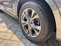Ford Kuga Kuga 2.5 phev ST-Line 2wd 225cv cvt Grigio - thumbnail 11
