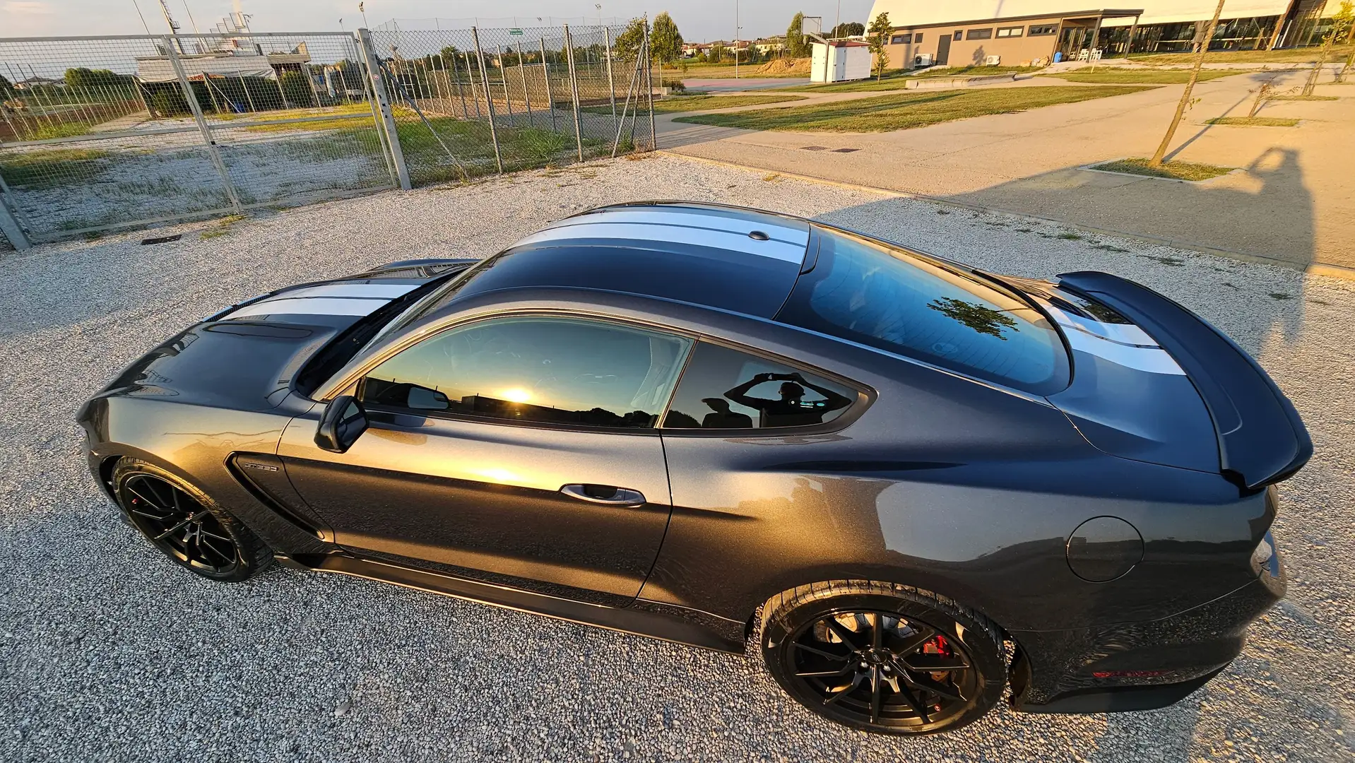 Ford Mustang Shelby GT350 Nero - 2