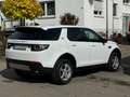 Land Rover Discovery Sport TD4 Pure 2.0*ALLRAD* Blanco - thumbnail 6