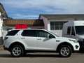 Land Rover Discovery Sport TD4 Pure 2.0*ALLRAD* Blanco - thumbnail 4