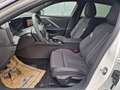 Opel Astra 1,2 Turbo GS Weiß - thumbnail 11