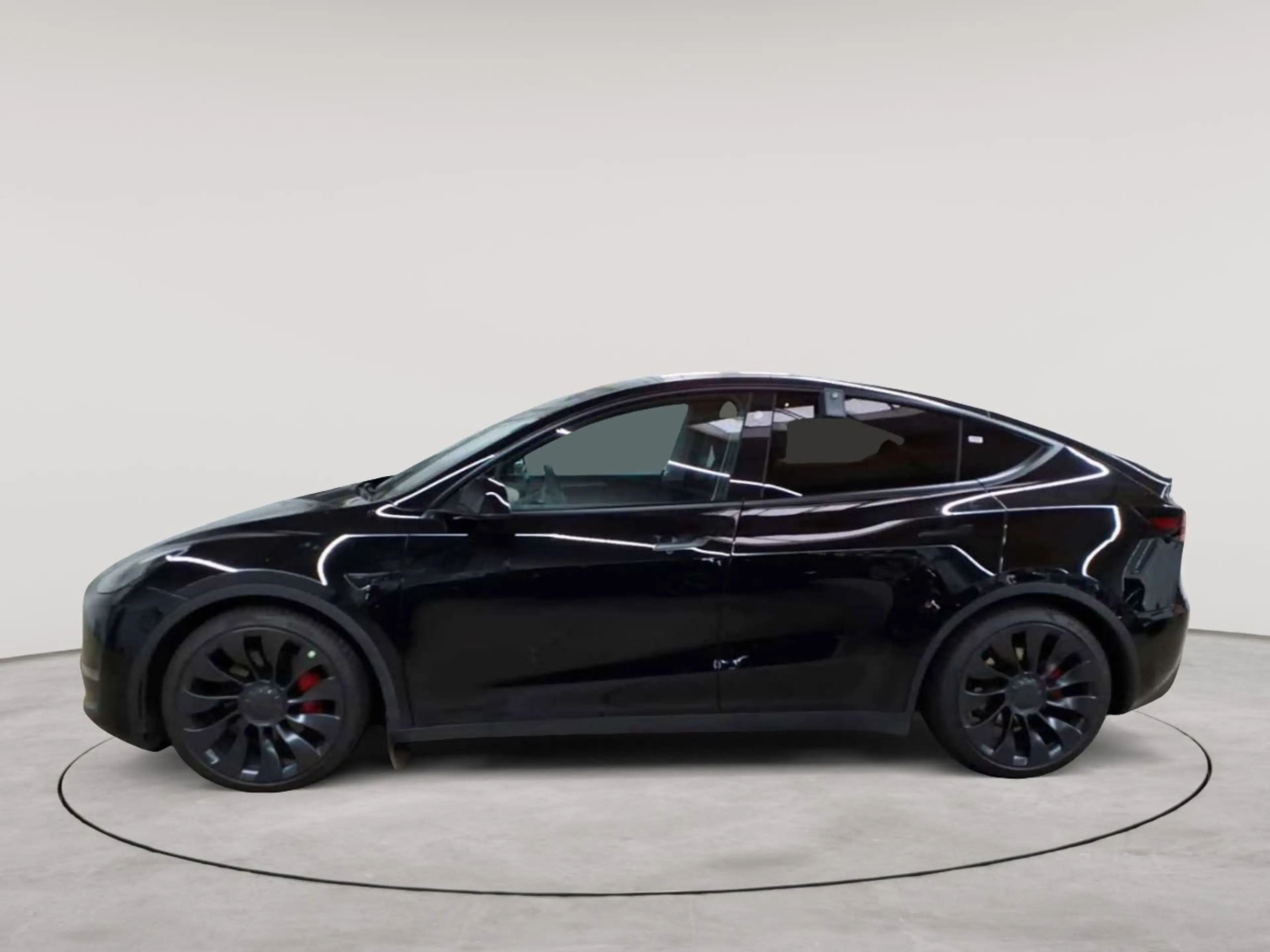 Tesla Model Y Performance Dual Motor AWD — photo 6