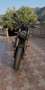 Benelli Leoncino Nero - thumbnail 4