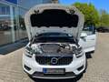 Volvo XC40 T5 Recharge Inscription Expression Bianco - thumbnail 30