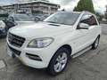 Mercedes-Benz ML 250 ML 250 bt Sport 4matic auto Blanc - thumbnail 1