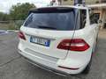 Mercedes-Benz ML 250 ML 250 bt Sport 4matic auto Blanc - thumbnail 7