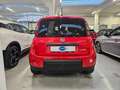 Fiat Panda Panda 1.0 hybrid Sport s&s 70cv 5 posti Rosso - thumbnail 5