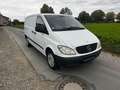 Mercedes-Benz Vito 111 CDI Mixto *Kasten + 5 Sitze* Weiß - thumbnail 2