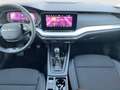 Skoda Octavia Essence TDI Grau - thumbnail 10