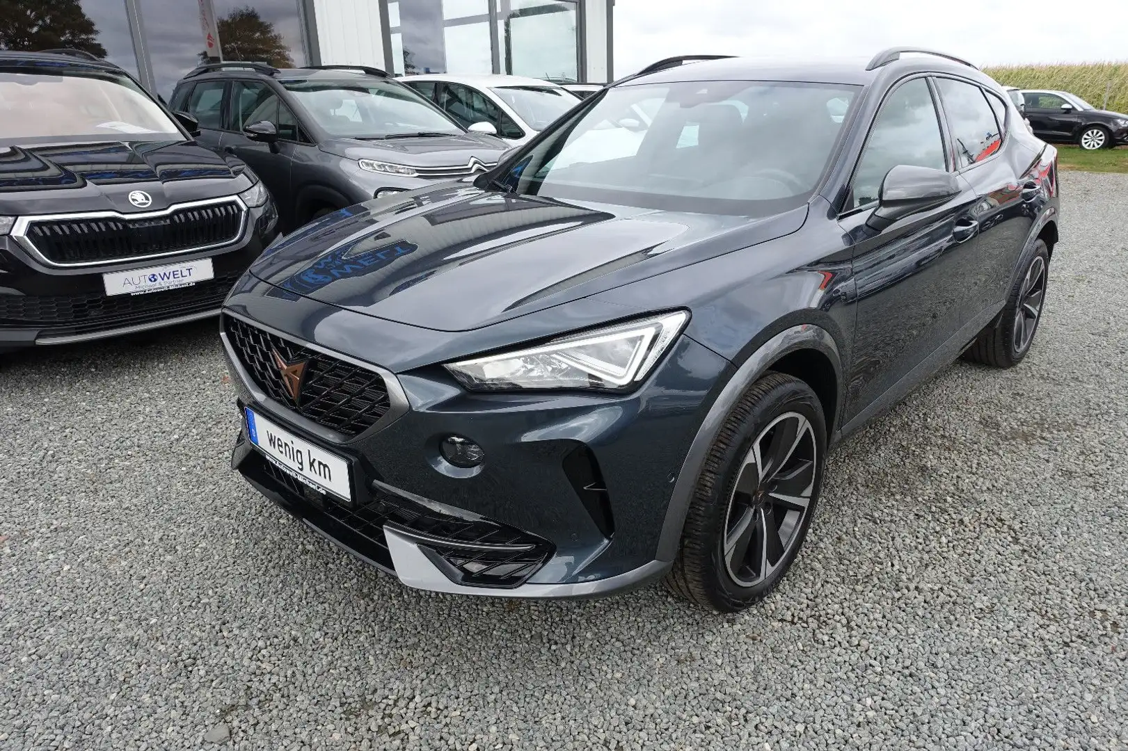 CUPRA Formentor 2.0TSI 4Drive KAM ACC LED APP DAB NAV Grau - 2