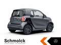 smart forTwo fortwo EQ EXCLUSIVE+22KW+GJR+KAMERA+PANO+LED+SHZ Grau - thumbnail 6