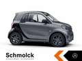smart forTwo fortwo EQ EXCLUSIVE+22KW+GJR+KAMERA+PANO+LED+SHZ Grau - thumbnail 5