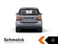 smart forTwo fortwo EQ EXCLUSIVE+22KW+GJR+KAMERA+PANO+LED+SHZ Grau - thumbnail 7