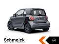 smart forTwo fortwo EQ EXCLUSIVE+22KW+GJR+KAMERA+PANO+LED+SHZ Grau - thumbnail 8