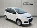Fiat Panda Easy, 1.Hand, A/C , Top Zustand Wit - thumbnail 1