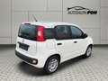 Fiat Panda Easy, 1.Hand, A/C , Top Zustand Wit - thumbnail 4