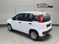Fiat Panda Easy, 1.Hand, A/C , Top Zustand Wit - thumbnail 8