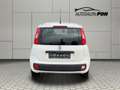 Fiat Panda Easy, 1.Hand, A/C , Top Zustand Wit - thumbnail 9