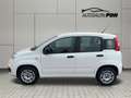 Fiat Panda Easy, 1.Hand, A/C , Top Zustand Wit - thumbnail 7
