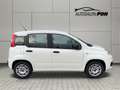 Fiat Panda Easy, 1.Hand, A/C , Top Zustand Wit - thumbnail 5