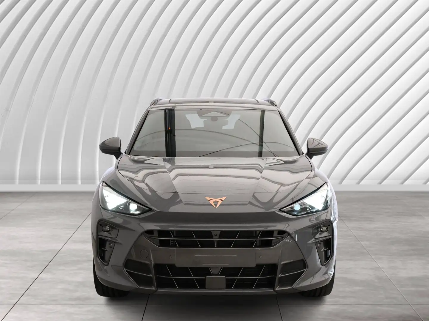 CUPRA Terramar VZ 2.0 TSI 195 kW (265 PS) DSG 4Drive Grau - 2