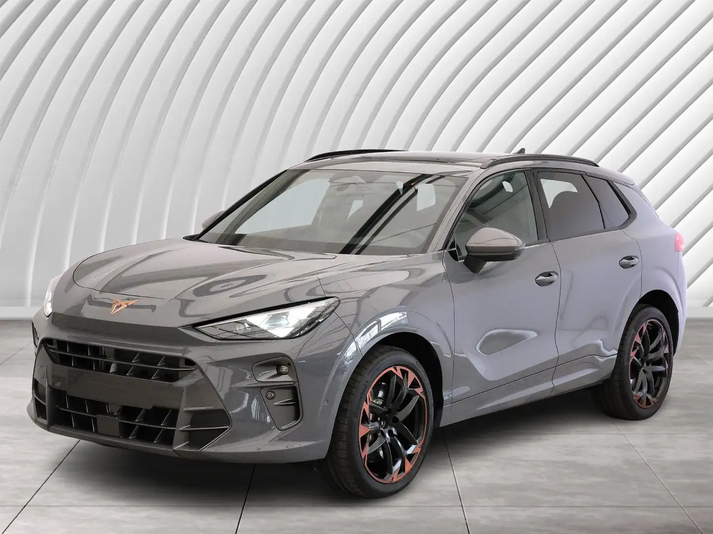 CUPRA Terramar VZ 2.0 TSI 195 kW (265 PS) DSG 4Drive Grau - 1