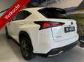 Lexus NX 300h AWD F Sport Line / Pano / Vol optie! / Leder Білий - thumbnail 2