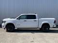 Dodge RAM 1500 pick up 4x4 Crew Cab Limited Night Wit - thumbnail 12