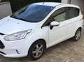 Ford B-Max B-MAX Titanium 1,0 EcoBoost Start/Stop Titanium Start/Stop Weiß - thumbnail 1