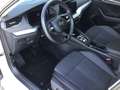 Skoda Octavia Style TDI DSG Weiß - thumbnail 6