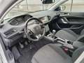 Peugeot 308 308 SW 1.6 BlueHDi ECO Active Білий - thumbnail 7