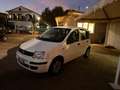 Fiat Panda Panda 1.1 Active eco (active) c/abs Blanco - thumbnail 3