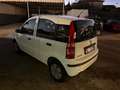 Fiat Panda Panda 1.1 Active eco (active) c/abs Blanco - thumbnail 4