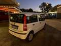 Fiat Panda Panda 1.1 Active eco (active) c/abs Blanco - thumbnail 6