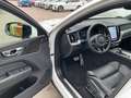 Volvo XC60 T6 R Design Plug-In AWD ACC HUD PANO 360° Weiß - thumbnail 15