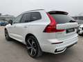 Volvo XC60 T6 R Design Plug-In AWD ACC HUD PANO 360° Weiß - thumbnail 5