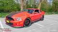 Ford Mustang USA 5.4 V8 Shelby GT500 Červená - thumbnail 6